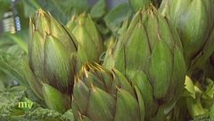 Puntata del 27 marzo