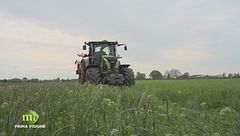 Puntata del 15 maggio