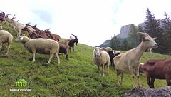 Puntata del 2 ottobre