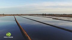 Puntata del 9 ottobre