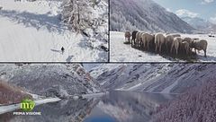 Puntata del 20 novembre