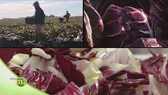 Puntata del 23 gennaio | Prima parte