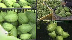 Puntata del 23 gennaio | Seconda parte