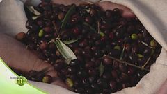 Puntata del 30 gennaio - Seconda parte