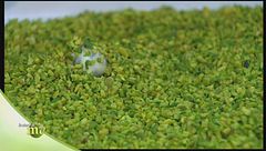 Puntata del 6 febbraio - Seconda parte