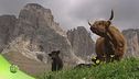 Puntata del 15 maggio | Seconda parte