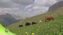 Puntata del 25 settembre - Prima parte