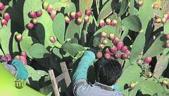 Puntata del 25 settembre - Seconda parte