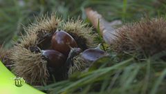 Puntata del 9 ottobre - Prima parte