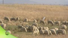 Puntata del 9 ottobre - Seconda parte