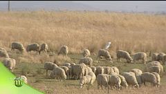 Puntata del 9 ottobre - Seconda parte