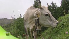 Puntata del 16 ottobre - Seconda parte