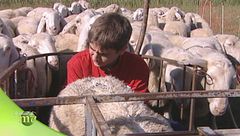 Puntata del 23 ottobre - Prima parte