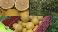 Puntata del 23 ottobre - Seconda parte