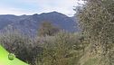 Puntata del 30 ottobre - Prima parte