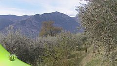 Puntata del 30 ottobre - Prima parte