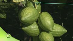 Puntata del 30 ottobre - Seconda parte