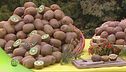Puntata del 5 novembre - Prima parte