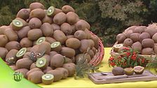 Puntata del 5 novembre - Prima parte