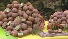 Puntata del 5 novembre - Prima parte