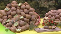 Puntata del 5 novembre - Prima parte