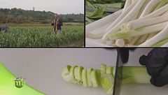 Puntata del 13 novembre - Prima parte