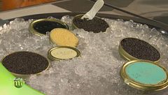 Puntata del 13 novembre - Seconda parte