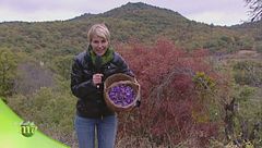 Puntata del 20 novembre - Seconda parte