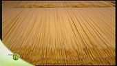 La pasta Setaro