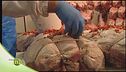 Il prosciutto cotto e la sua lavorazione