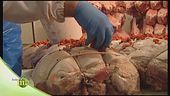 Il prosciutto cotto e la sua lavorazione
