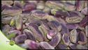 Il pistacchio di Bronte