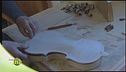 Bosco musicale