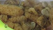 Antiche ricette marchigiane