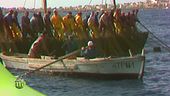 I canti dei tonnarotti riecheggiano nel golfo di Lamezia