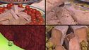 Il tonno, re della cucina mediterranea