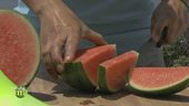Sapori di Sardegna