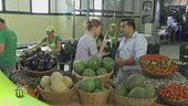 La lavorazione della frutta e della verdura