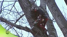 Tree climbing