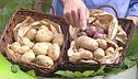 Come cucinare le patate
