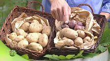 Come cucinare le patate