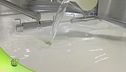 Formaggi di latte vaccino