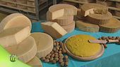 Il formaggio Piave DOP di Lattebusche