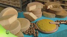 Il formaggio Piave DOP di Lattebusche