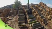 La trasformazione del legno