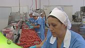 La trasformazione del pomodoro