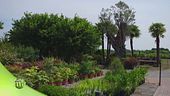 Vivere il verde