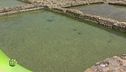 L'isola di Gozo e la sua salina antichissima