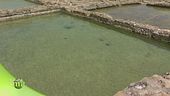 L'isola di Gozo e la sua salina antichissima