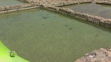 L'isola di Gozo e la sua salina antichissima